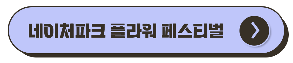 대구 축제 일정