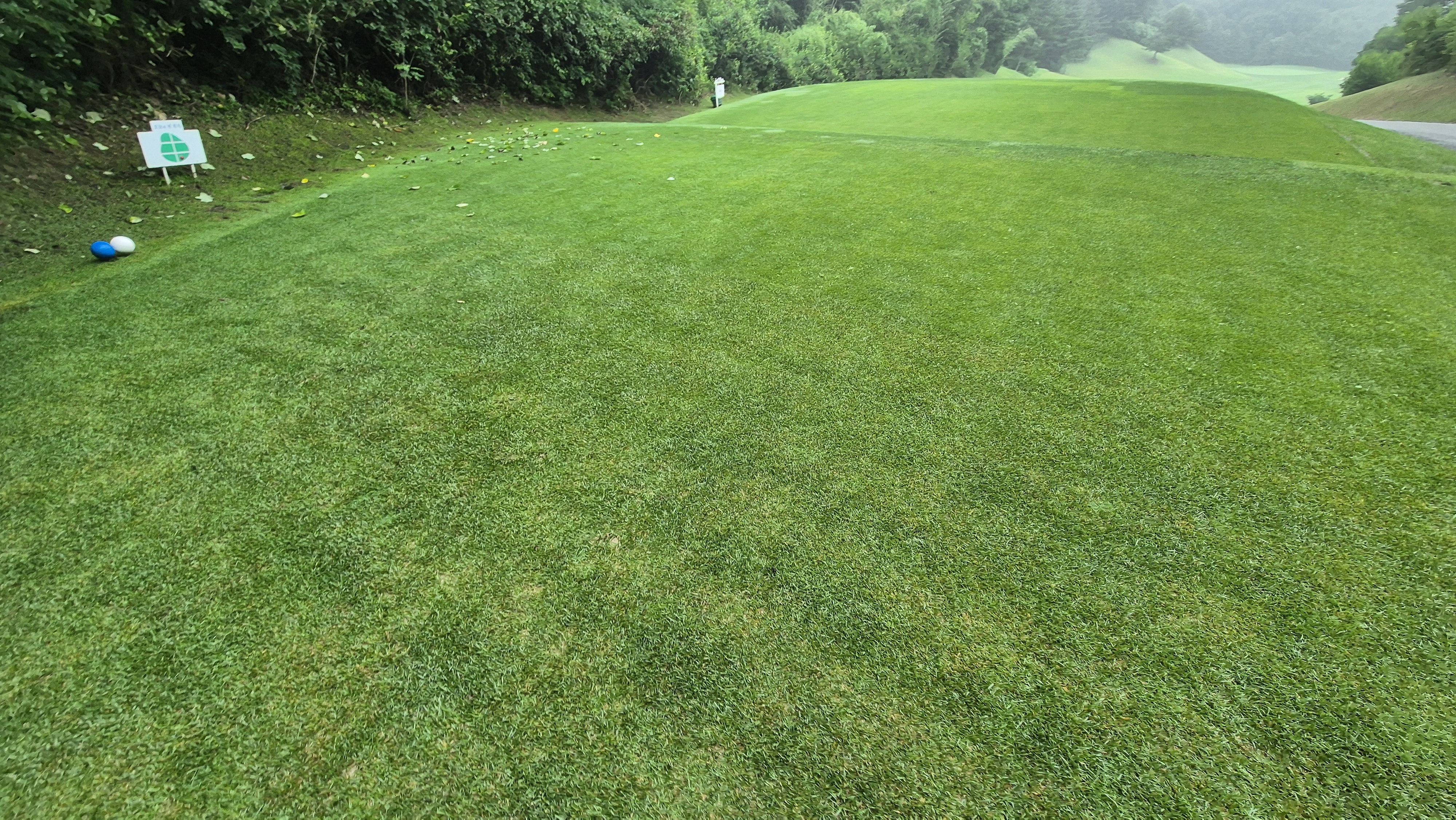 뉴스프링빌cc 라운드 후기