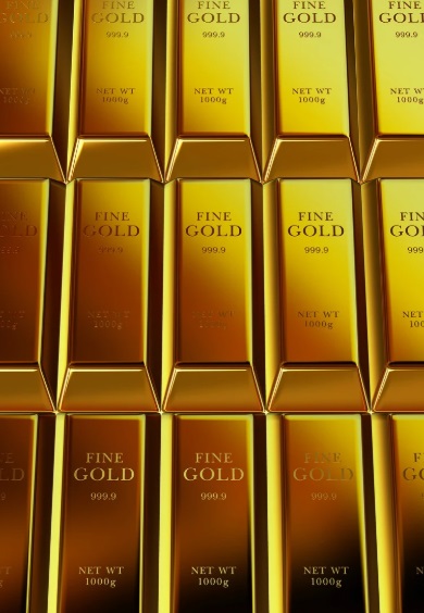 금투자 유의사항