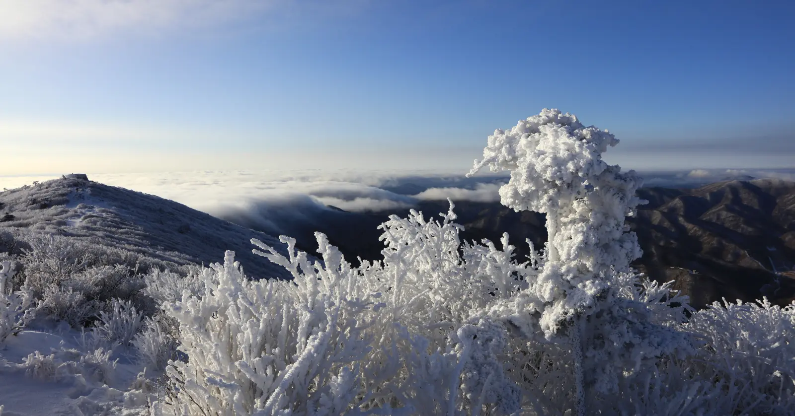 국립공원 실시간 CCTV 모바일로 보는 법