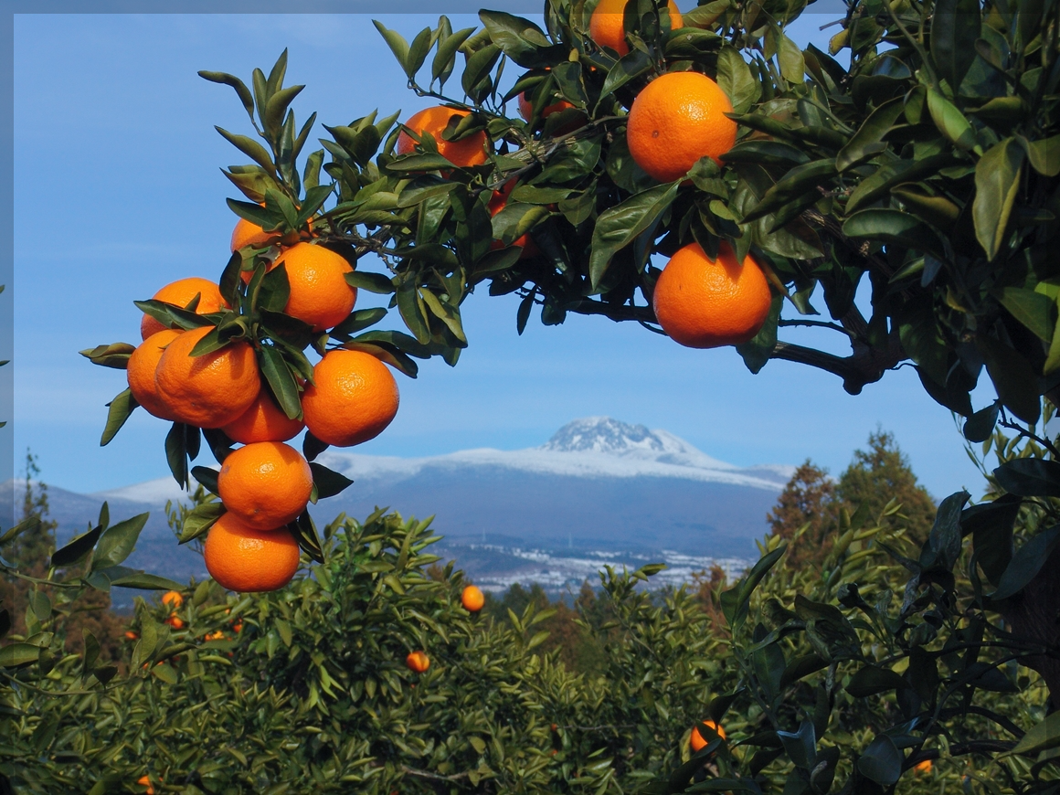 12월 여행지 추천 국내 여행지 추천 10곳