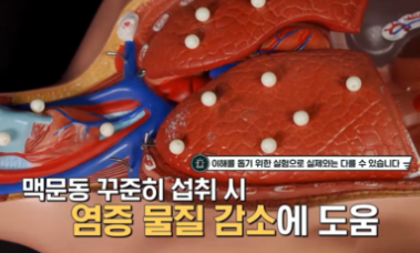 맥문동 효능