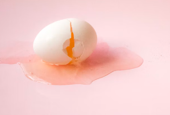 살모넬라균 예방, 계란 보관법