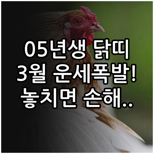 2005년생 닭띠 2026년 3월 운..