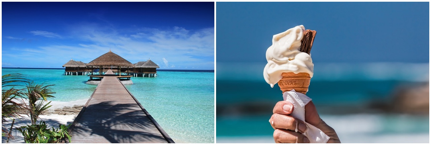 여름이 떠오르는 사진들