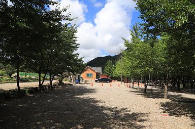 강원도 삼척시 동막골 야영장 바로가기