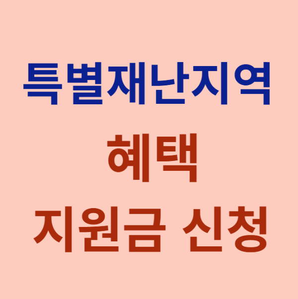 특별재난지역 혜택 지원금 신청 이미지입니다.