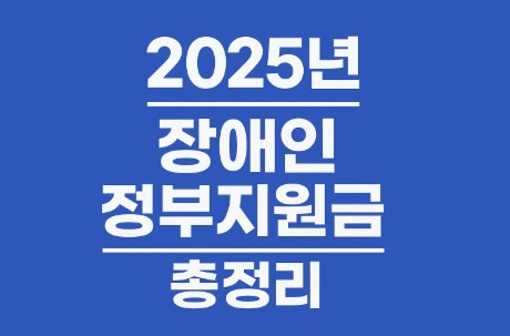 2025년 장애인 정부지원금 총정리
