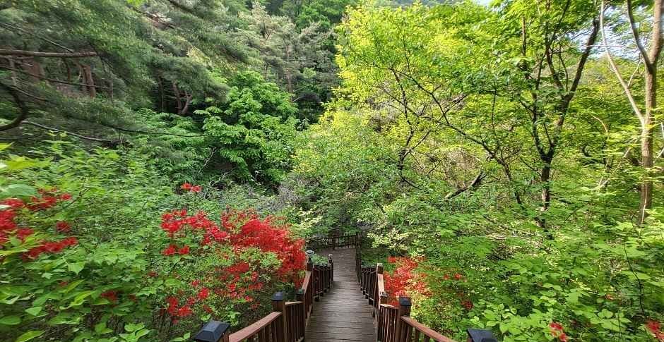 합천 영상테마파크 관람 가이드