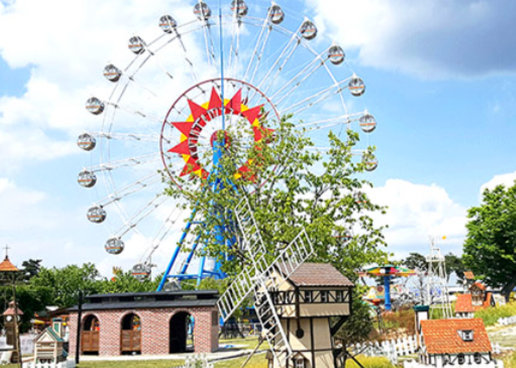 곡성 세계장미축제