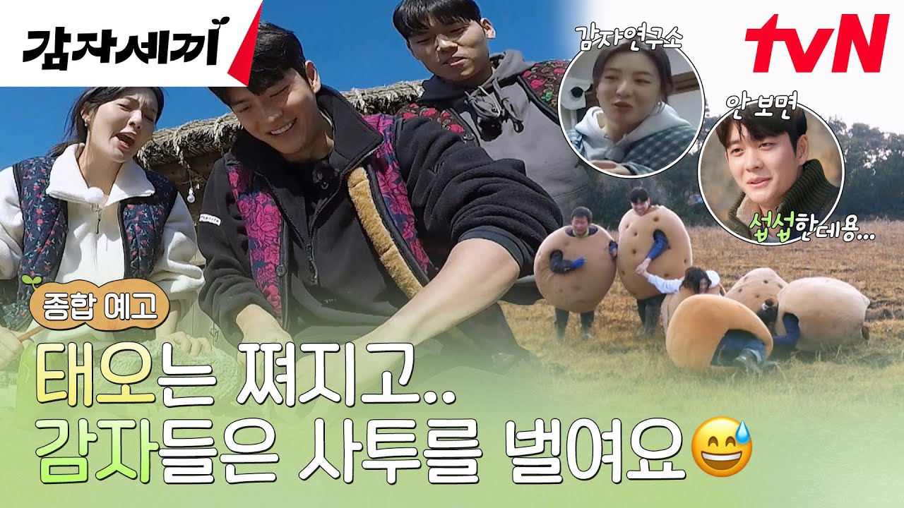 감자세끼