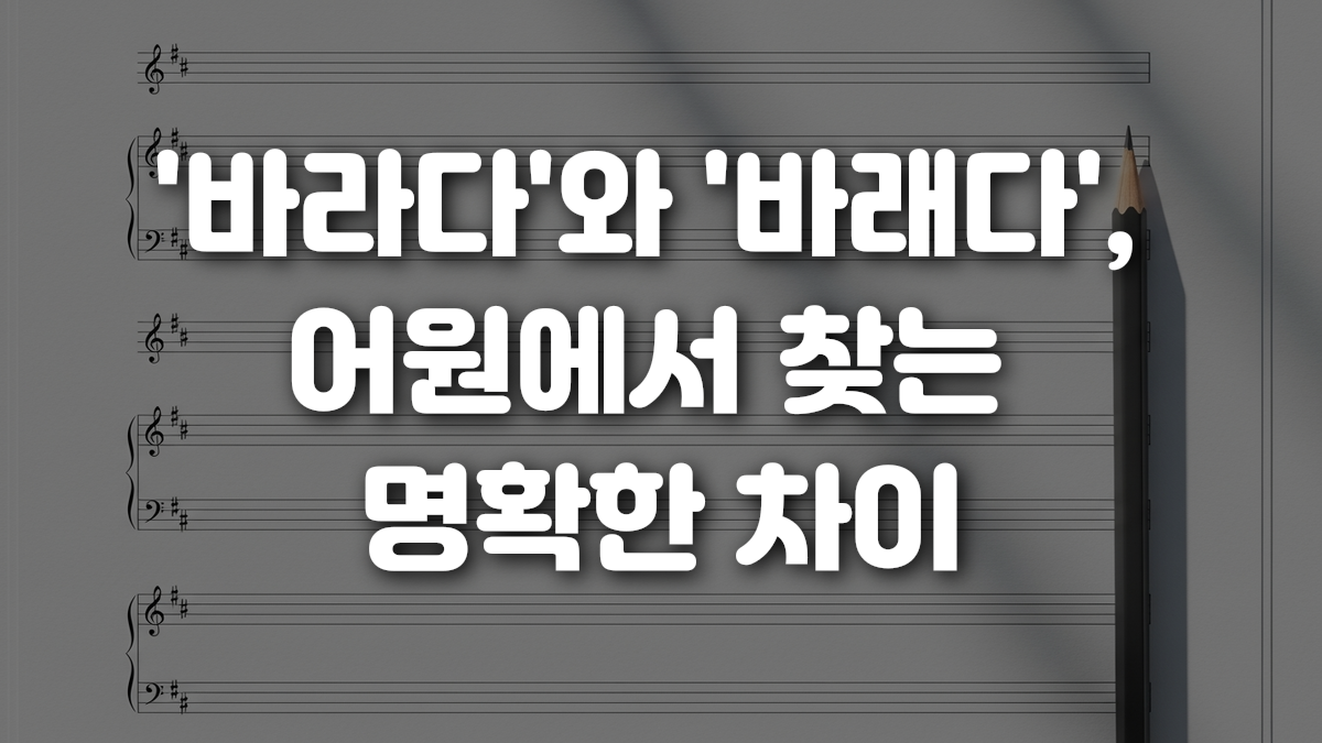 바라다 와 바래다 어원에서 찾는 명확한 차이