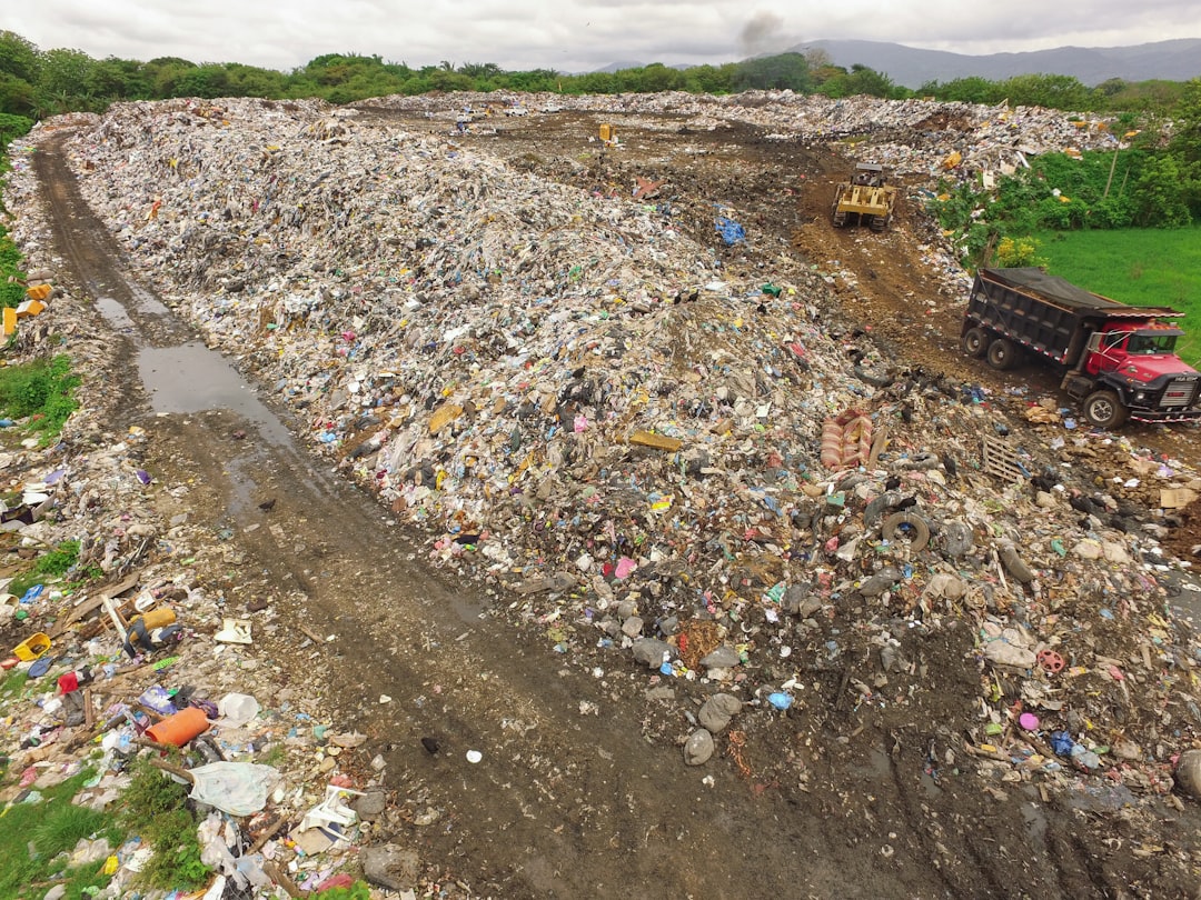 'Waste'