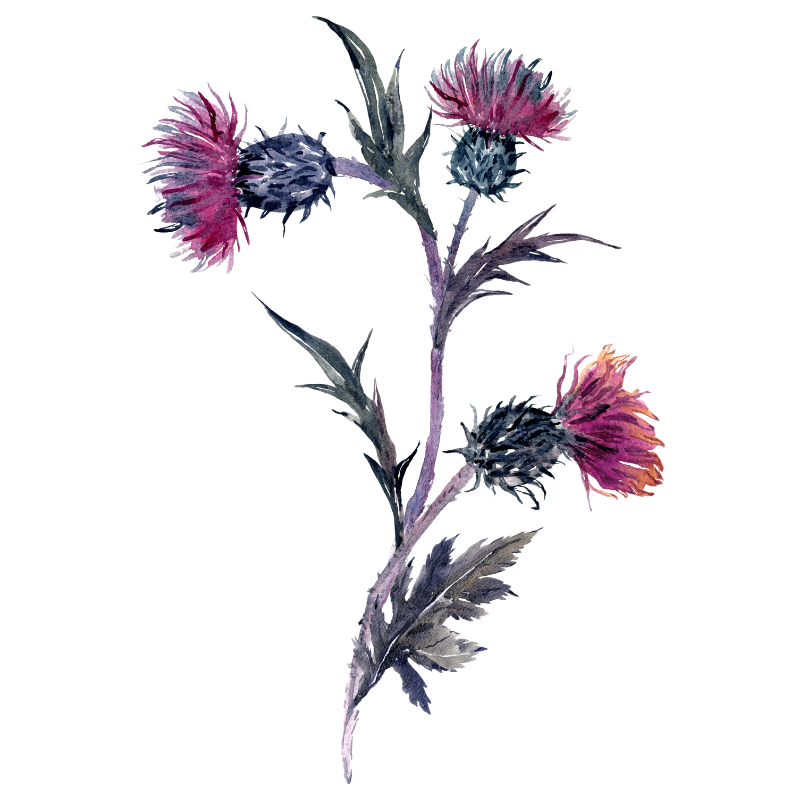 밀크씨슬 부작용