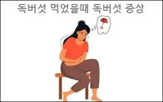 독버섯 먹었을때 독버섯 증상