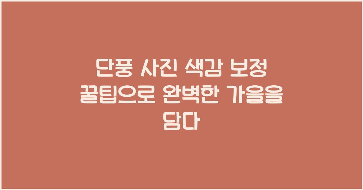 단풍 사진 색감 보정 꿀팁