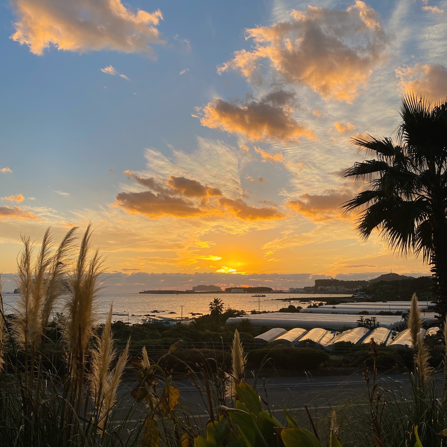 제주 쇠소깍 오션뷰 노을 맛집 보래드베이커스