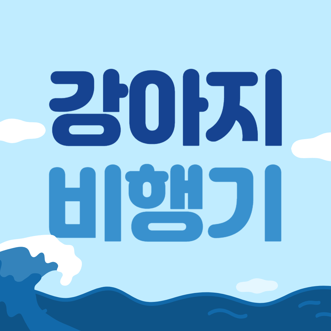 강아지 비행기 탑승