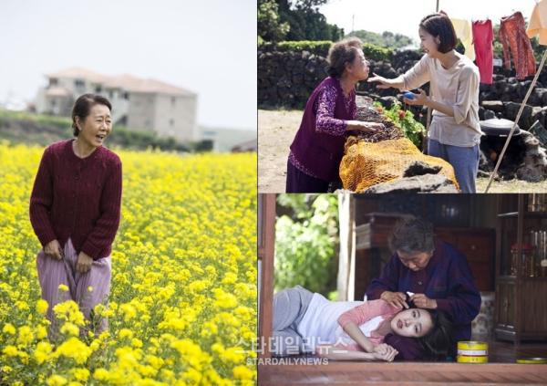 영화 계춘할망 리뷰 제주 바다처럼 깊은 사랑, 윤여정과 김고은이 전하는 위로