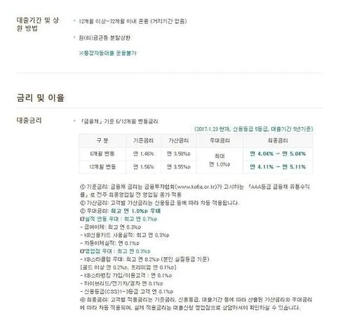 국민은행 중고차대출