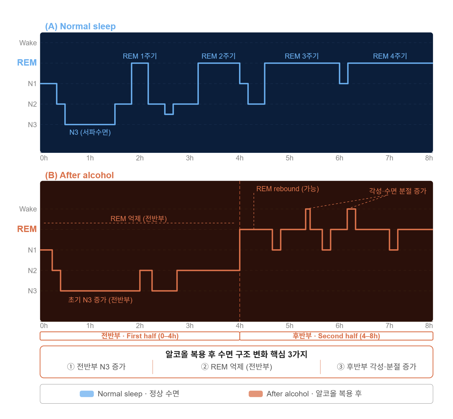 알코올 섭취 전후 수면 구조 비교 도식, 전반부 N3 증가와 REM 억제, 후반부 REM rebound 및 수면 분절 증가를 나타낸 그림