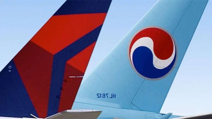 대한항공 델타 공동운항 수화물 왕복