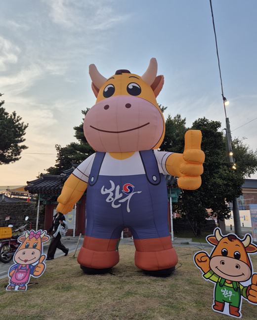 충남 홍성군 2025 “홍성 글로벌 바비큐 페스티벌”, 국화꽃 전시회