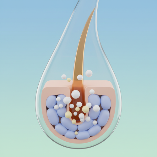 사면발이란? 그 정체와 특징