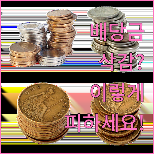 배당금 삭감 피하는 기업 분석 방법..