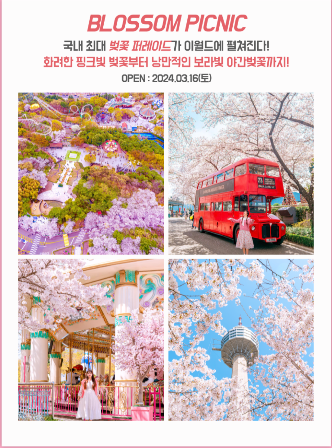 2024 대구 벚꽃 이월드 벚꽃축제 블라썸 피크닉 프로그램