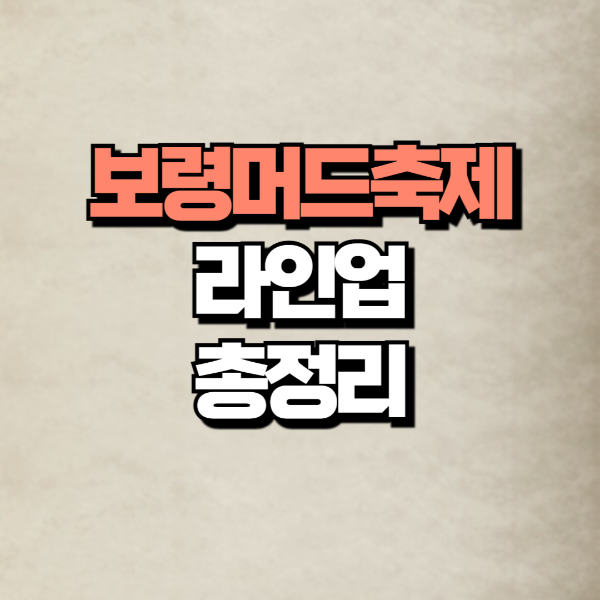 보령머드축제라인업