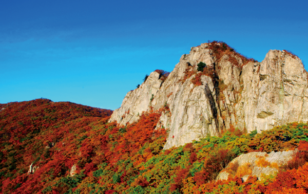 가지산 등산코스