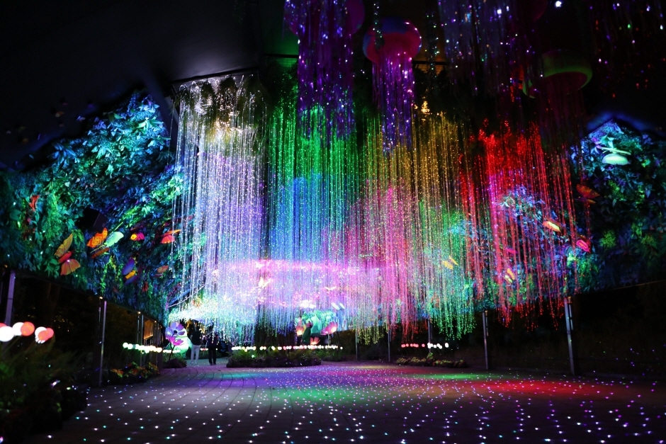 대전 가볼만한곳 베스트10