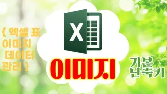 엑셀에서 URL 이미지 표시하기 방법 안내_6