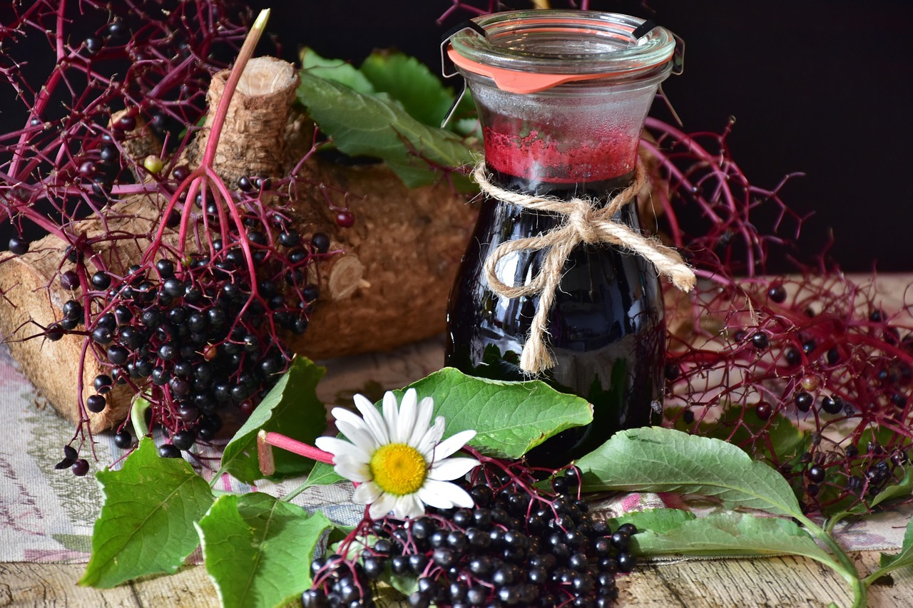 엘더베리(Elderberry)의 효능과 부작용! 감기 예방에 정말 좋을까?