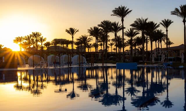 이집트 결혼식에서 신부에게 바르는 특별한 향기의 의미