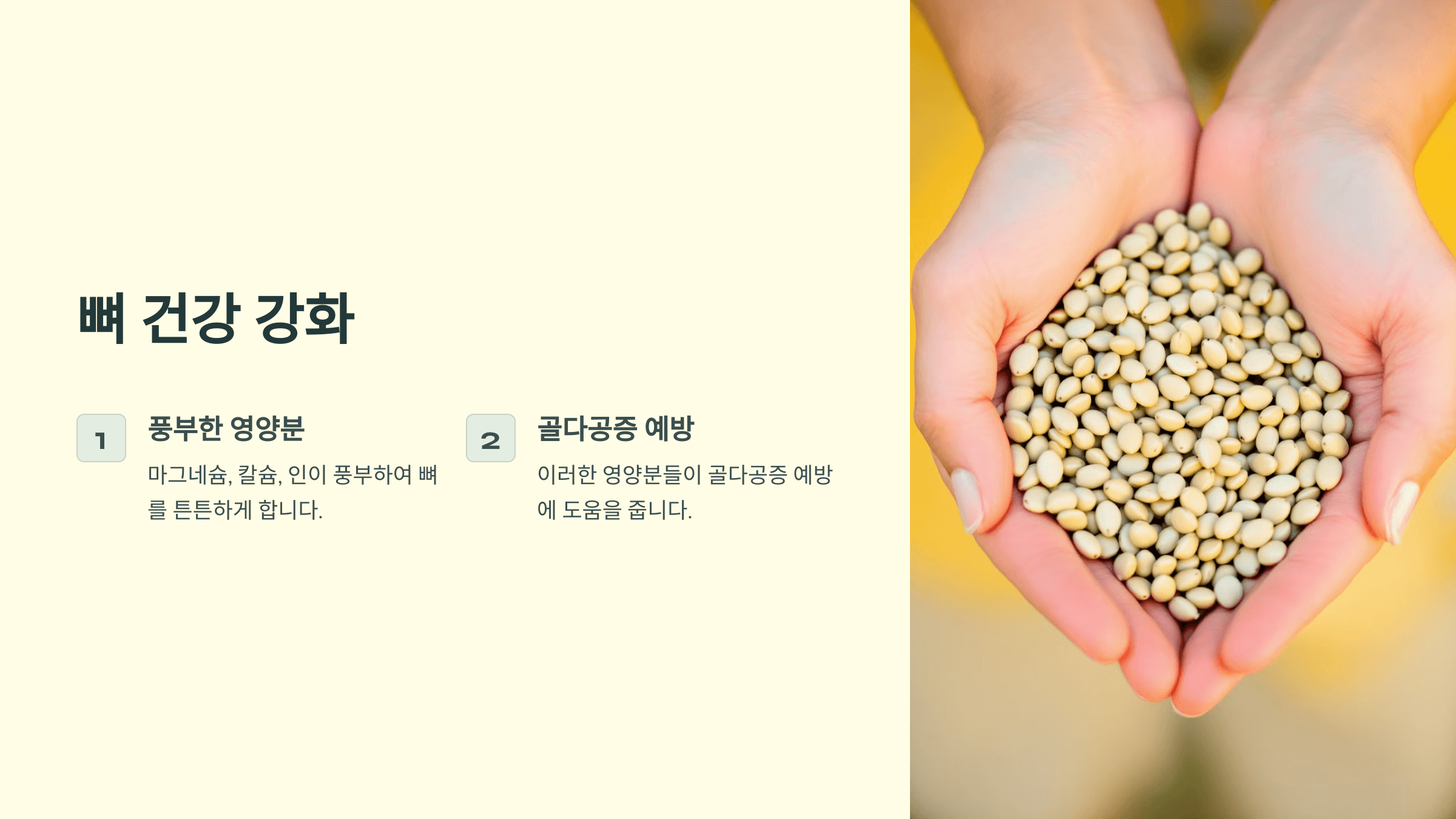 해바라기씨 사진입니다.