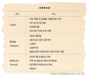 천년초 열매