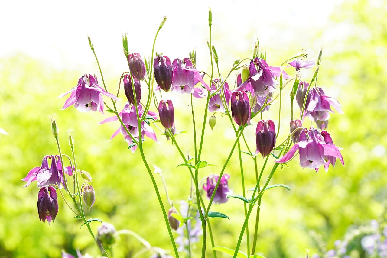용인 가볼만한 곳 한택식물원 입장료