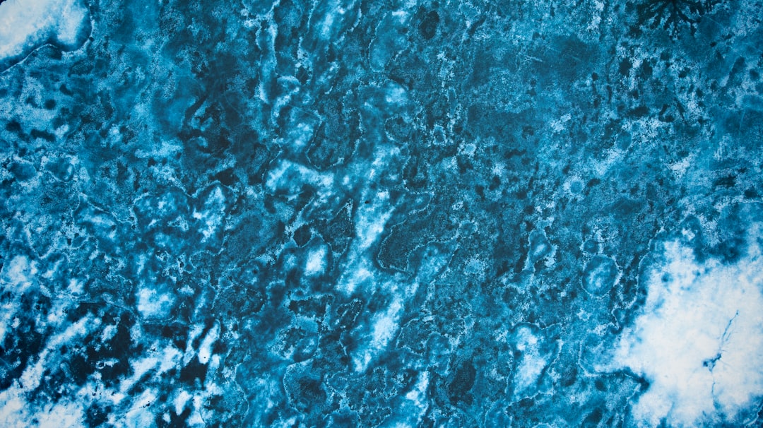Blue Carbon