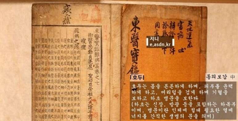 호두 효능 여덟가지와 부작용 총정리...음식건강이야기 열여덟번째