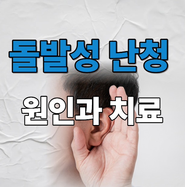 돌발성 난청 원인과 치료