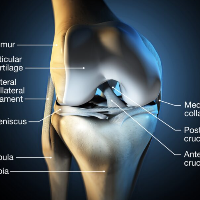 무릎 연골 손상 증상: 자가진단표