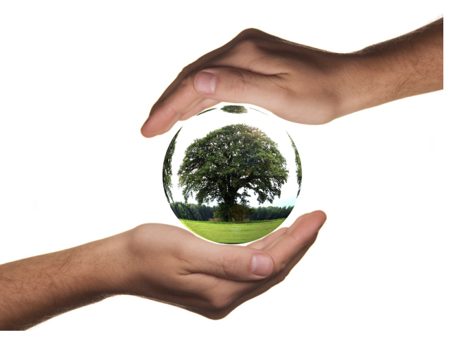 에코마일리지 홈페이지, 서울, 현금전환, 환급, 승용차, 특약, 사용방법