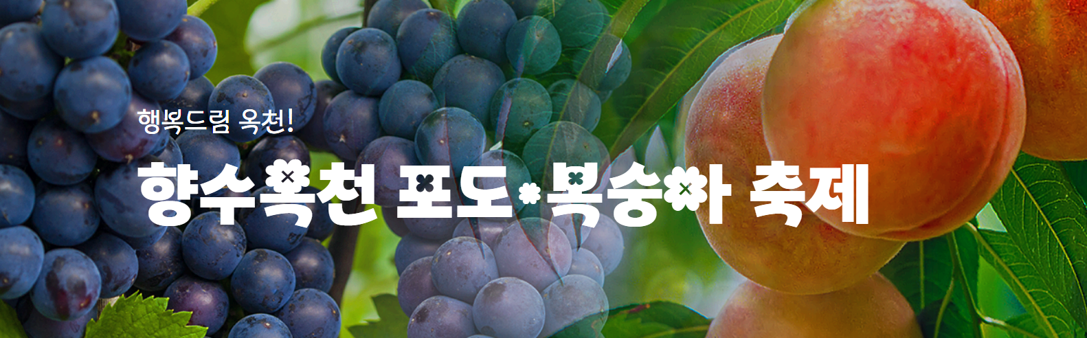 향수 옥천 포도 복숭아축제