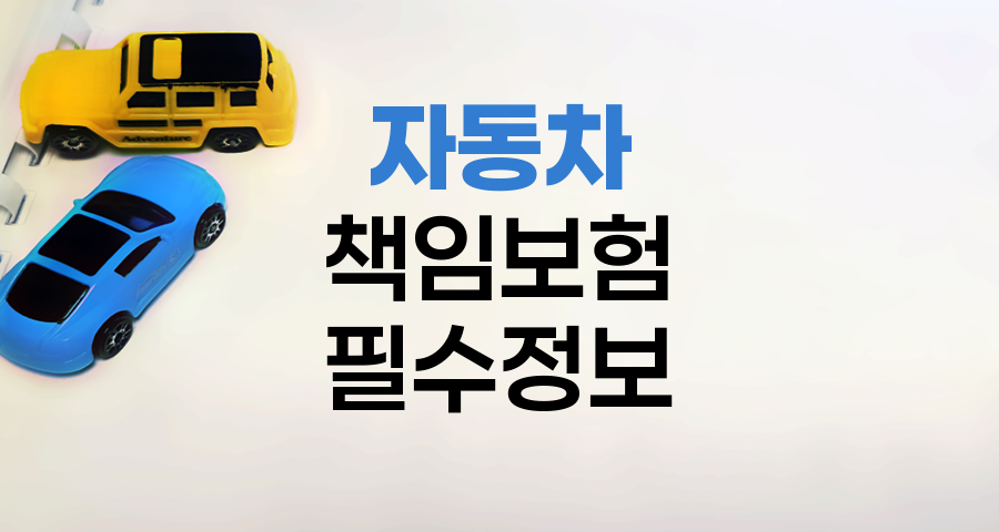 자동차 책임보험 필수 정보와 미가입 위험성