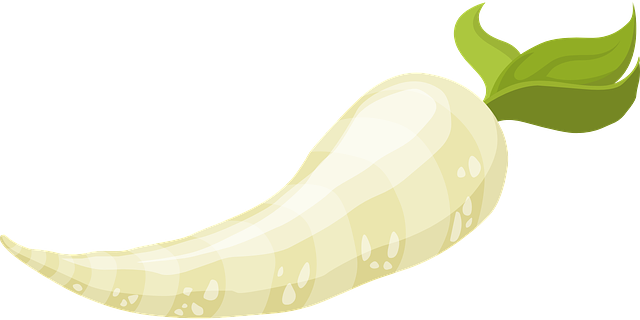 Radish