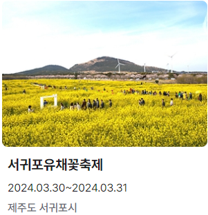서귀포유채꽃축제