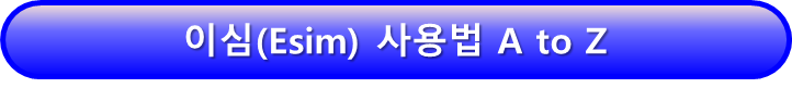 이심 사용법 보러가기