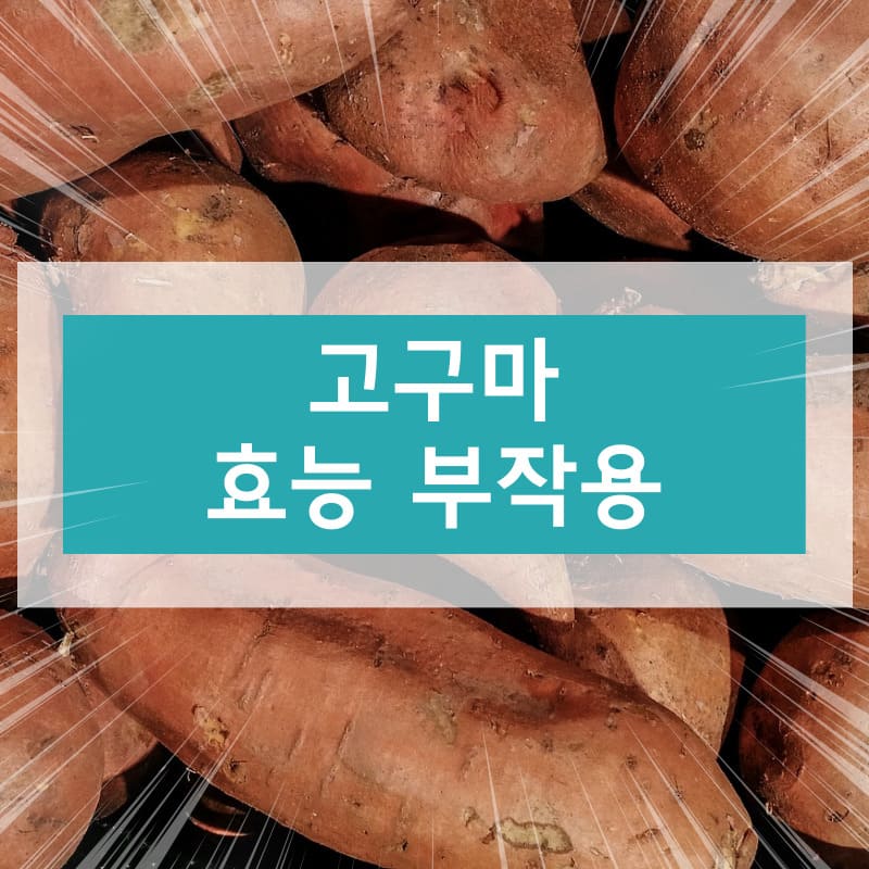 고구마 효능 부작용